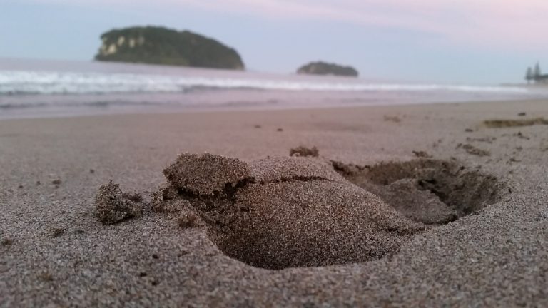 Mt Maunganui Sandy beach